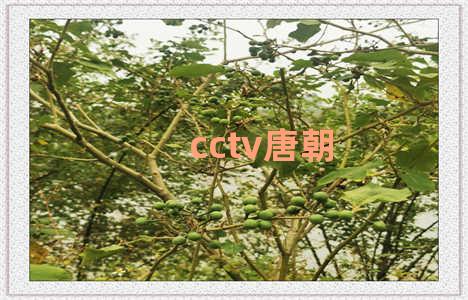 cctv唐朝