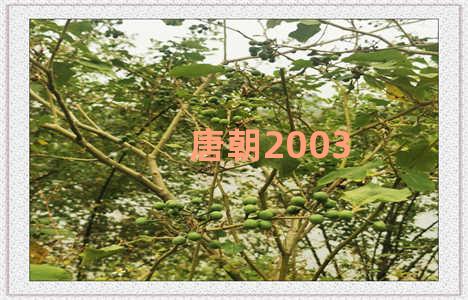 唐朝2003