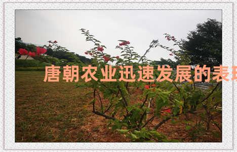 唐朝农业迅速发展的表现