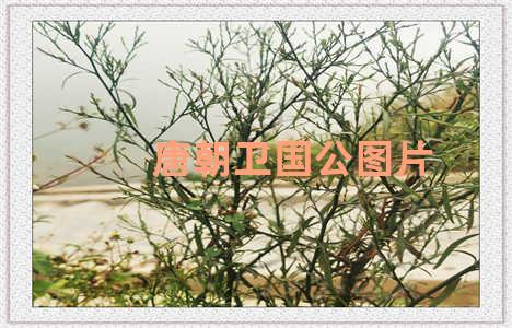 唐朝卫国公图片
