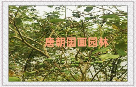 唐朝国画园林