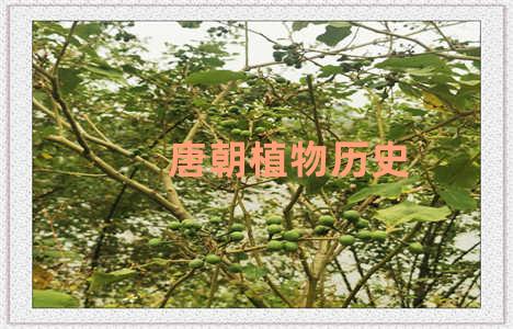 唐朝植物历史